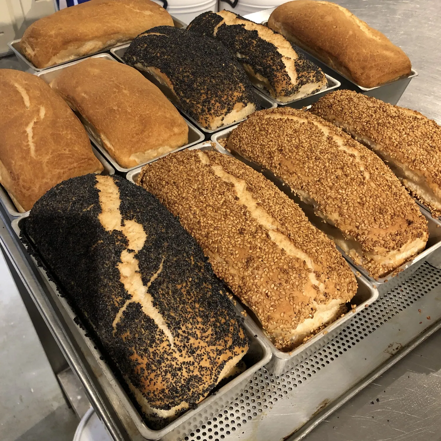 Verse broden in bakblikken, net uit de oven
