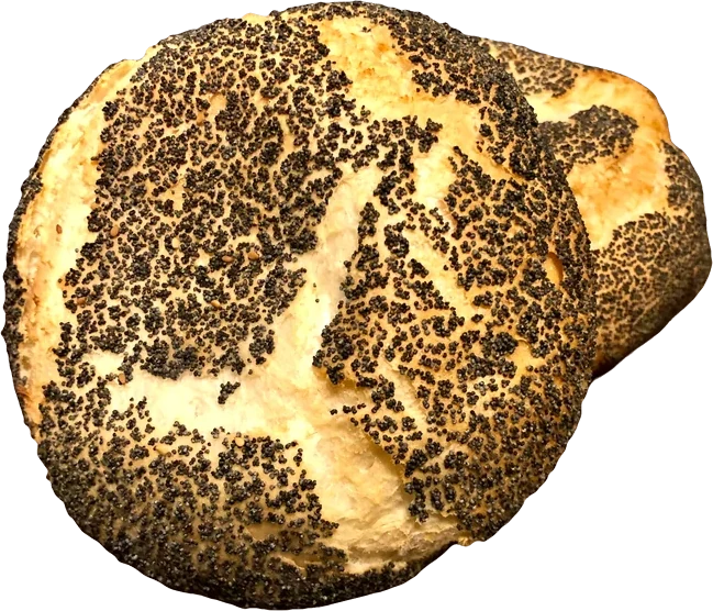 Wit brood maanzaad (groot rond)